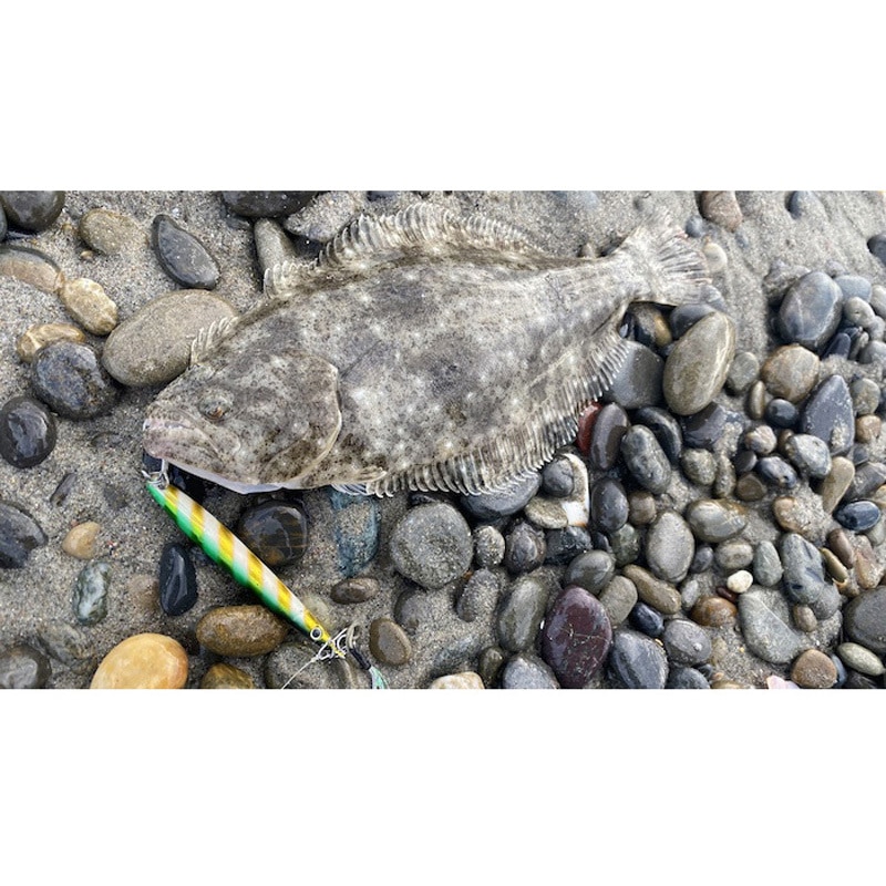 スピードスラッシャー 各種 まとめ売り ｇは写真でご確認ください。 スピードスラッシャー 各種 まとめ売り gは写真でご確認