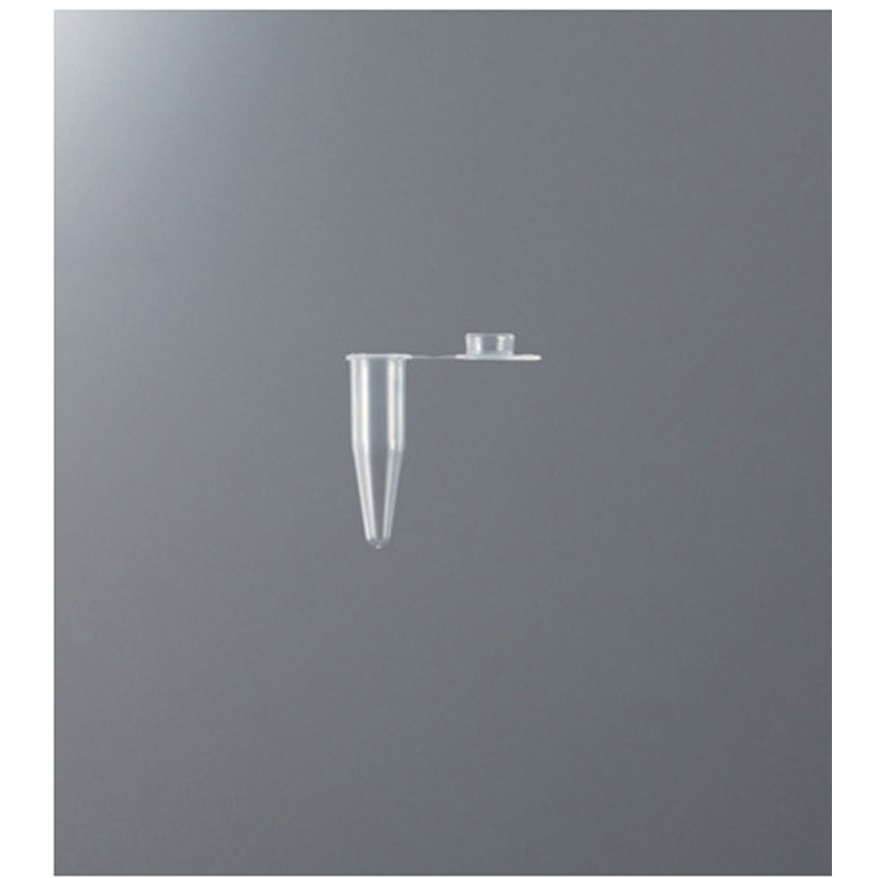 T-02RTC リアルタイムPCR対応チューブ 0.2mL 1000本入 1箱(1000本) BIO-BIK 【通販モノタロウ】