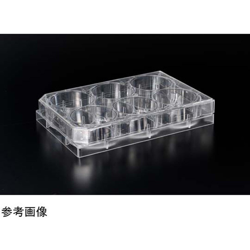 4810-020N ゼラチンコート マイクロプレート 6well 20枚入 1箱(20枚) IWAKI(AGCテクノグラス) 【通販モノタロウ】