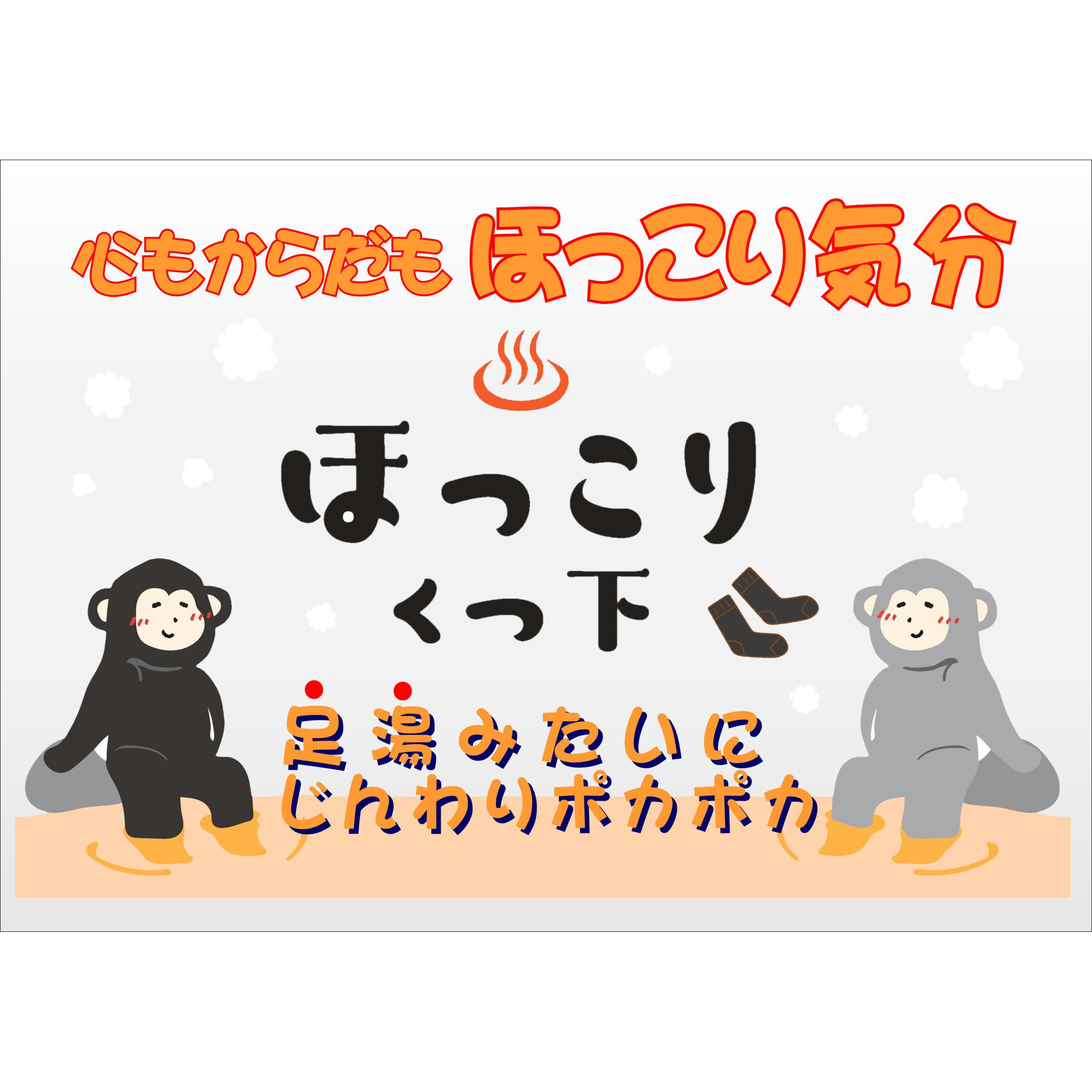 ほっこりくつ下 新生 通常 1足組 抗菌防臭加工 ブラック色 サイズ22