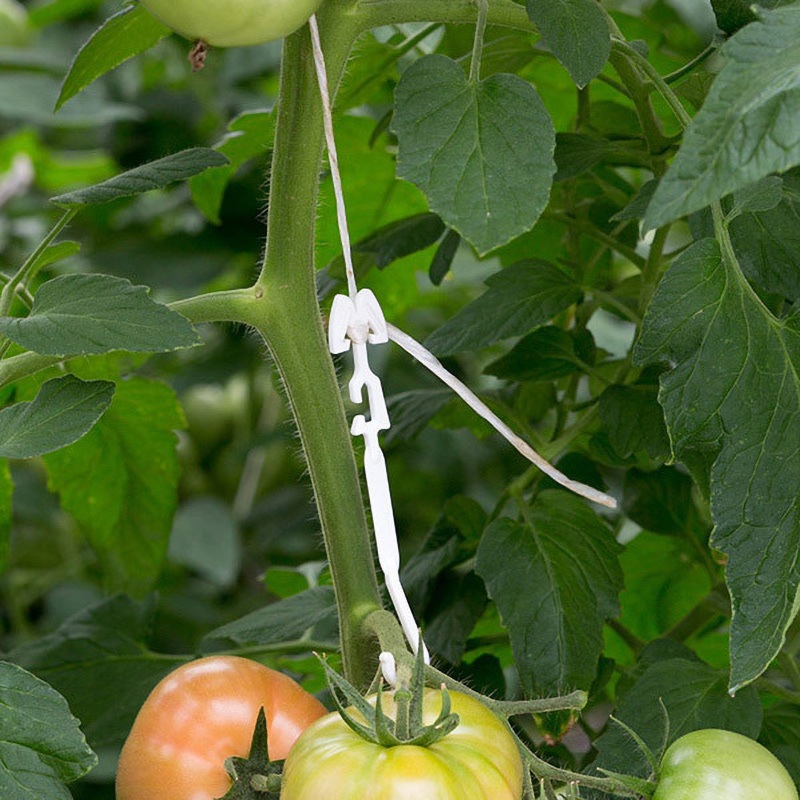 FTH-W02 房吊りフック 紐用 200P 1袋(200個) シーム 【通販モノタロウ】