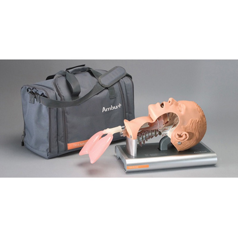 10208160 気道管理練習モデル 1セット アンブ 【通販モノタロウ】 194,900円
