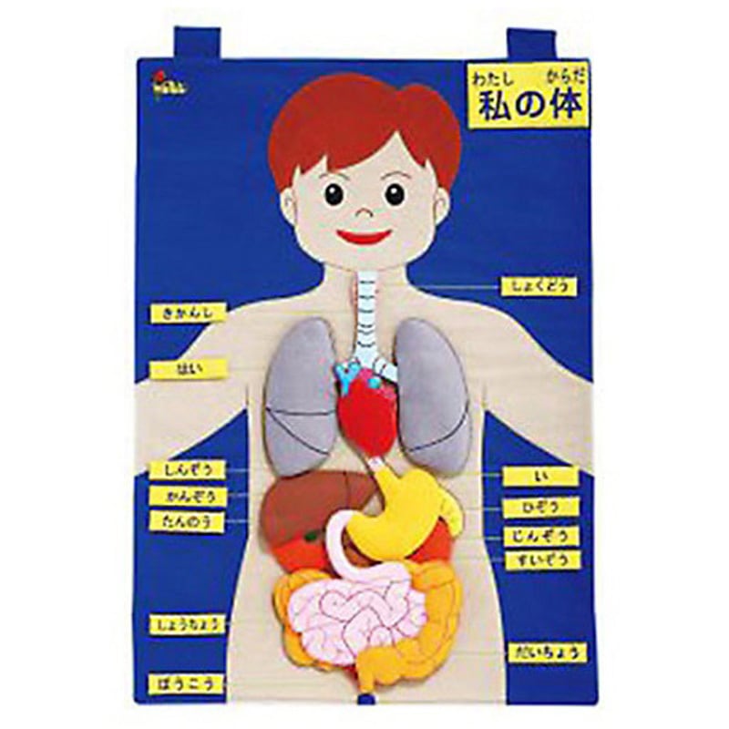 SG-10-004 タペストリー わたしの体 アズワン 1個 SG-10-004