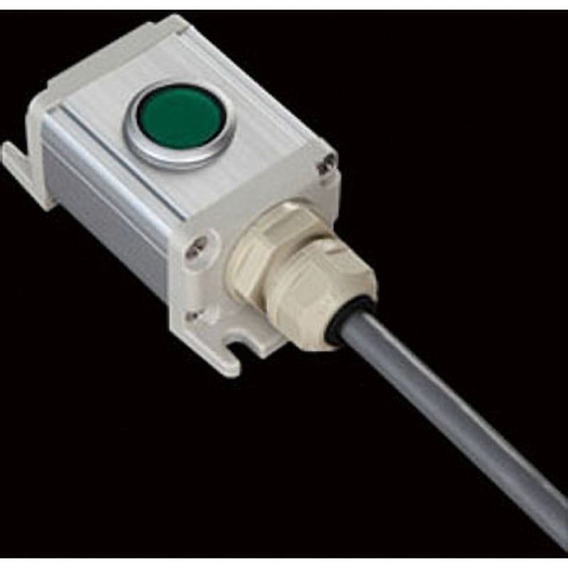 AIO-M112 S-4530スイッチ1点R(G)/2点1m SUS(エスユーエス) 薄型タイプ