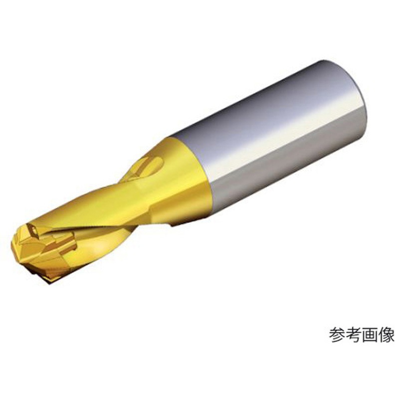 TCD 080-089-12S0-1.5D 刃先交換式ドリルホルダー ドリルラッシュ 1本 テグテックジャパン 【通販モノタロウ】
