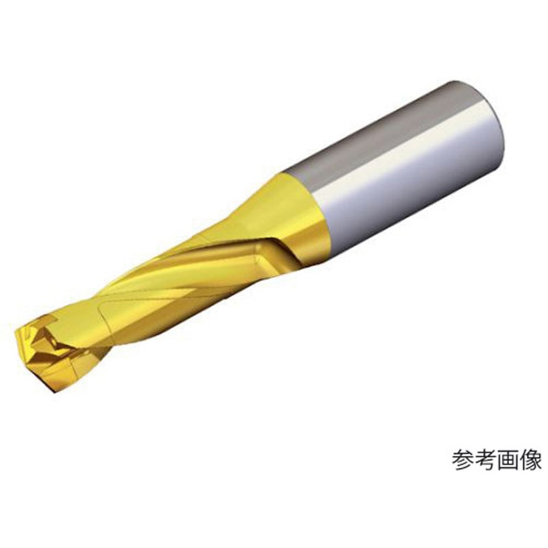 TCD 110-114-16S0-3D 刃先交換式ドリルホルダー ドリルラッシュ 1本 テグテックジャパン 【通販モノタロウ】