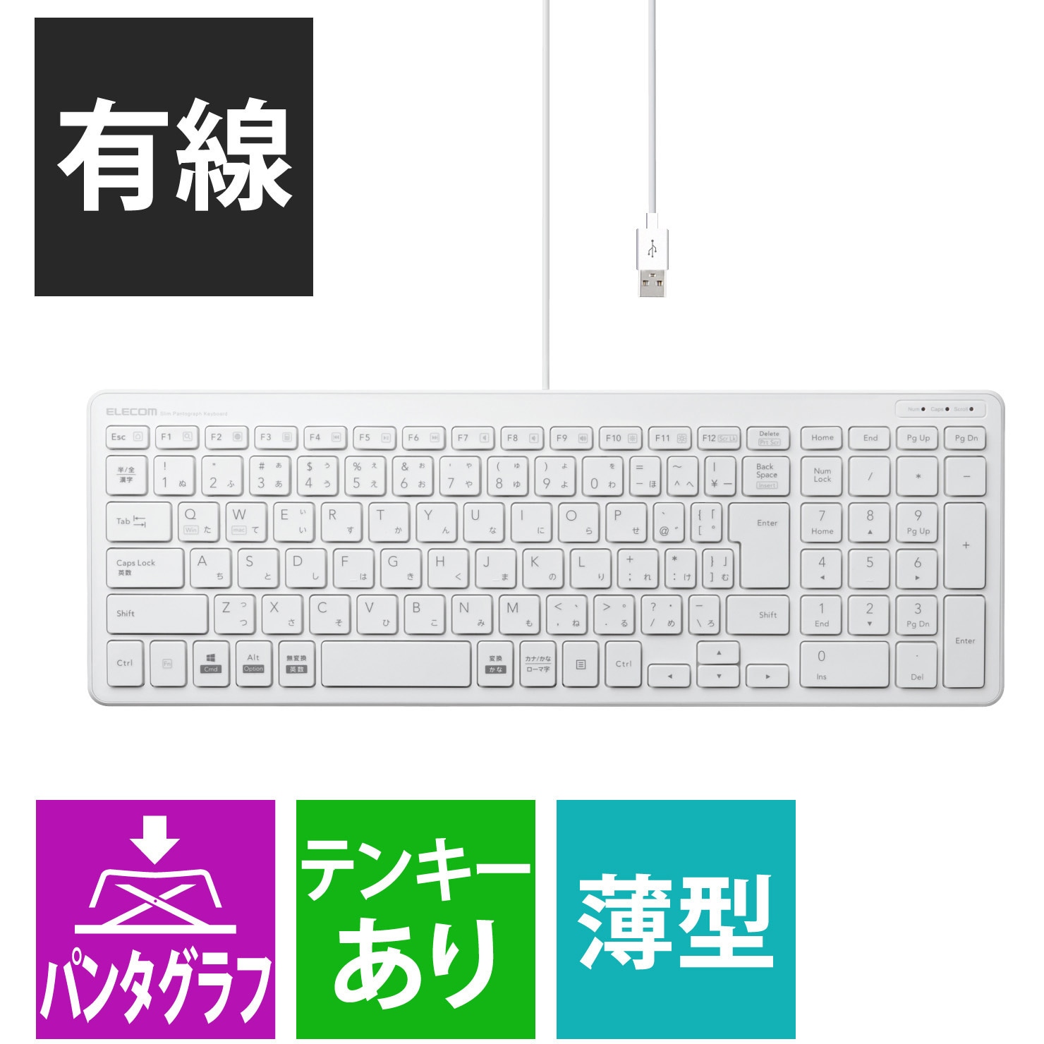 素敵でユニークな エレコム 有線超薄型コンパクトキーボード TK-FCP097WH ハードウェアマクロ搭載マウス サイドホイール Sサイズ  M-DWS01DBBK セット fucoa.cl