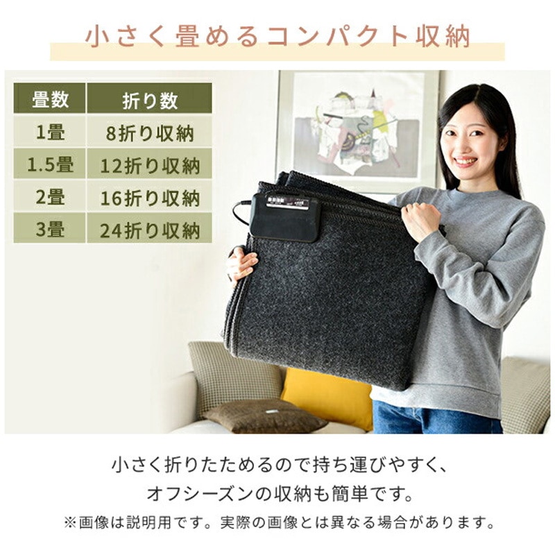 SUT-301 ホットカーペット 空気をキレイにする ホットカーペット 1枚