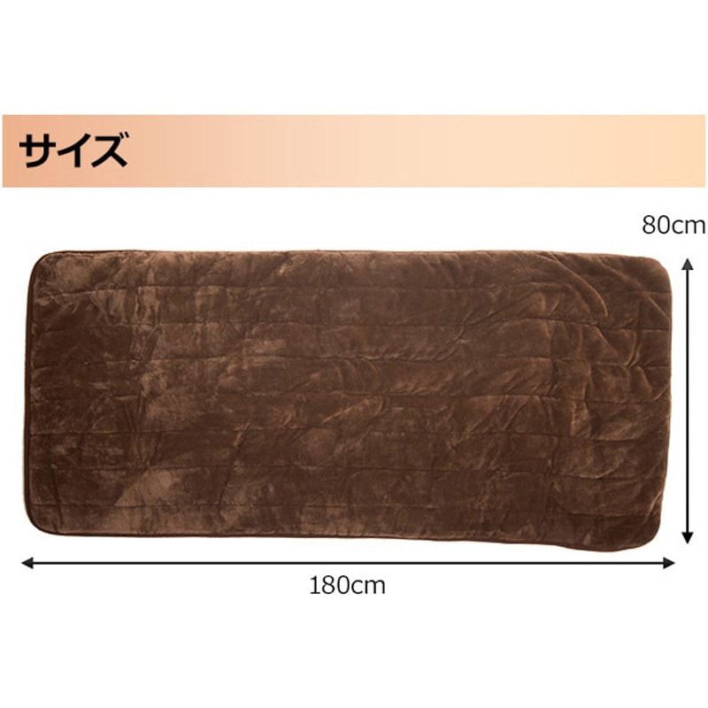 YWC-193SFK(C) ホットカーペット 空気をキレイにする 洗えるどこでも