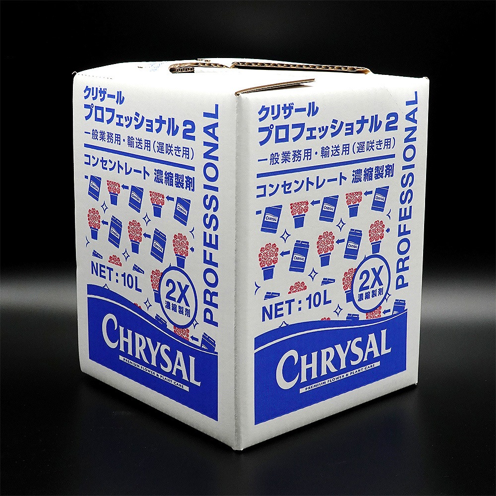 クリザール プロフェッショナル2 コンセントレート 1個(10L) クリザールジャパン 【通販モノタロウ】