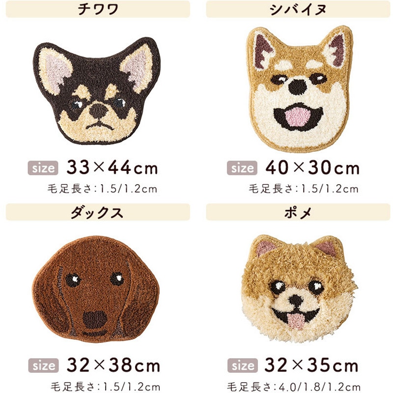 チワワ、うめ様ご確認用 チワワ うめちゃん | ブログ | 横浜市鶴見のトリミングならぺラ