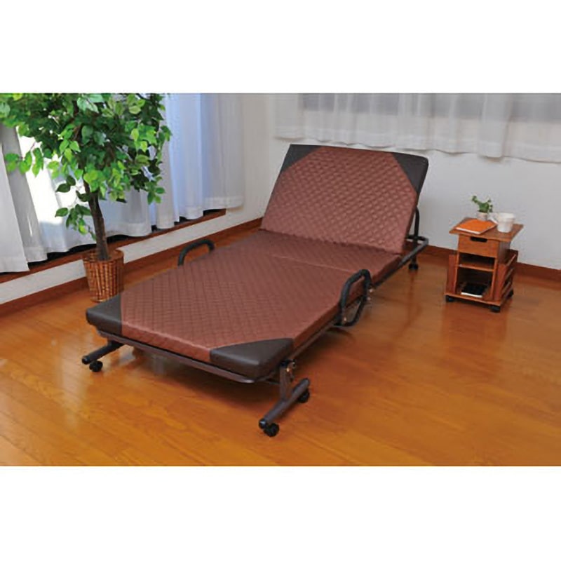 TAN-698(BR) 14段リクライニング折畳みベッド 1台 タック 【通販