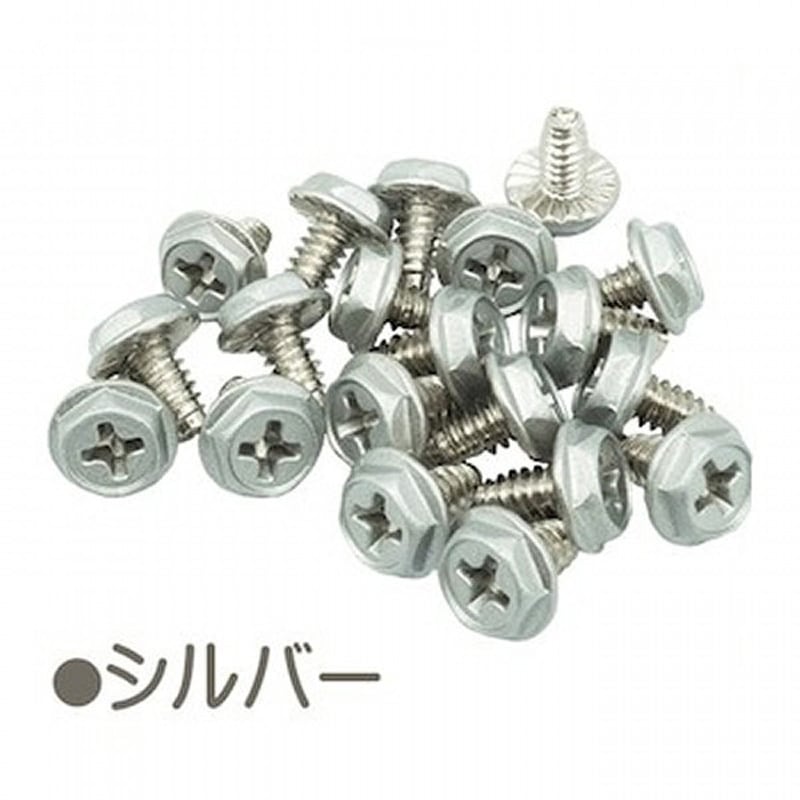 SN-022-2SV カラーインチネジ 1個 エスエスエーサービス 【通販