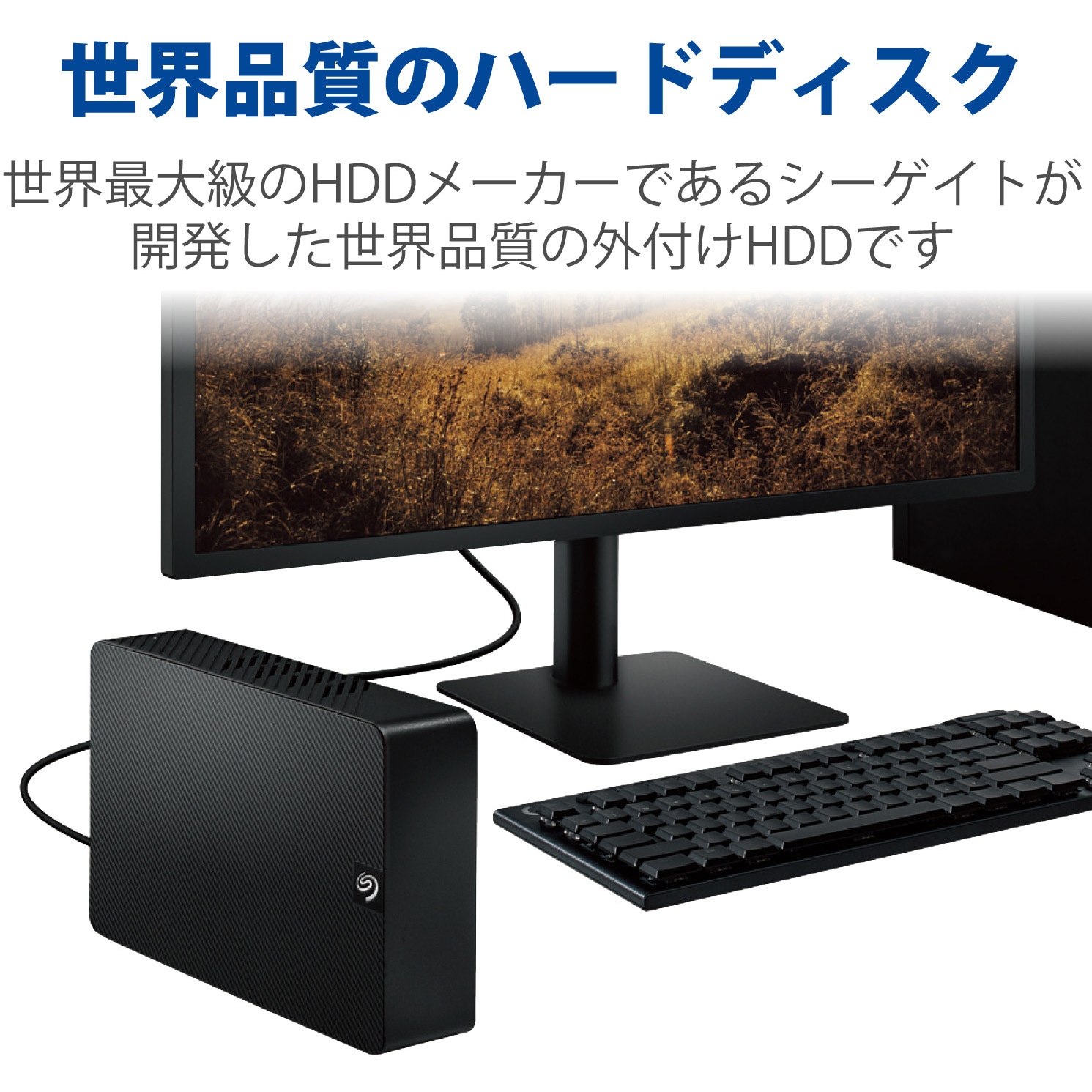 SGD-MZ030UBK HDD (ハードディスク) 外付け 3.5インチ