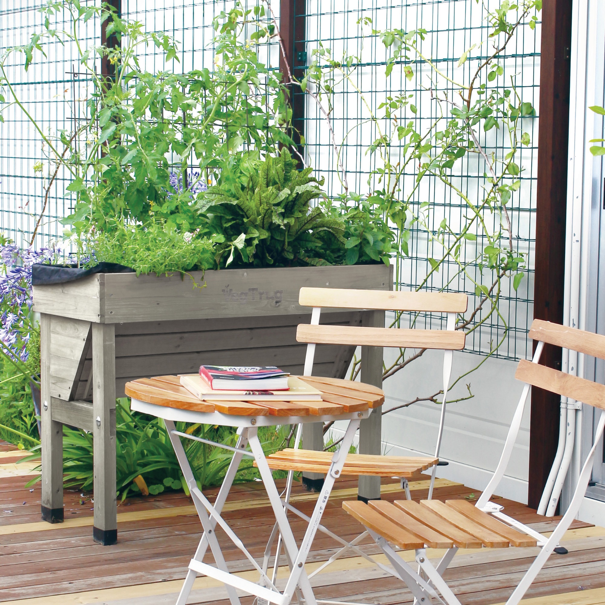 VGT-WH01FG ホームベジトラグウォールハガー タカショー サイズS VGT