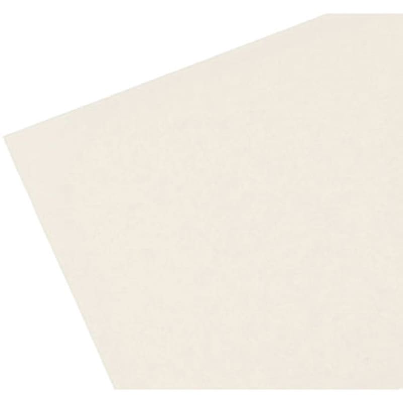 HE9212-1 発泡エンビ 光 ホワイト色 厚さ2mm寸法1000×2000mm  HE9212-1