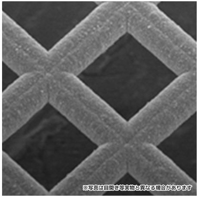 超高精度 ナノメッシュ Φ125mm tantore 目開き10μ