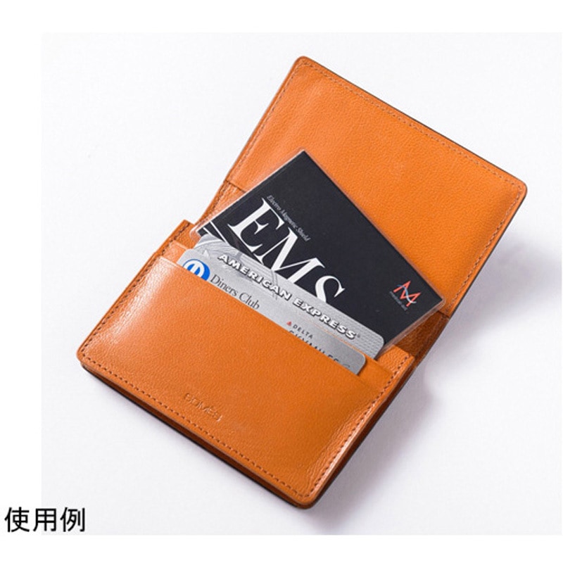 EMSCARD-C01-04 スキミング防止&磁気データ保護用 EMSカード カード用