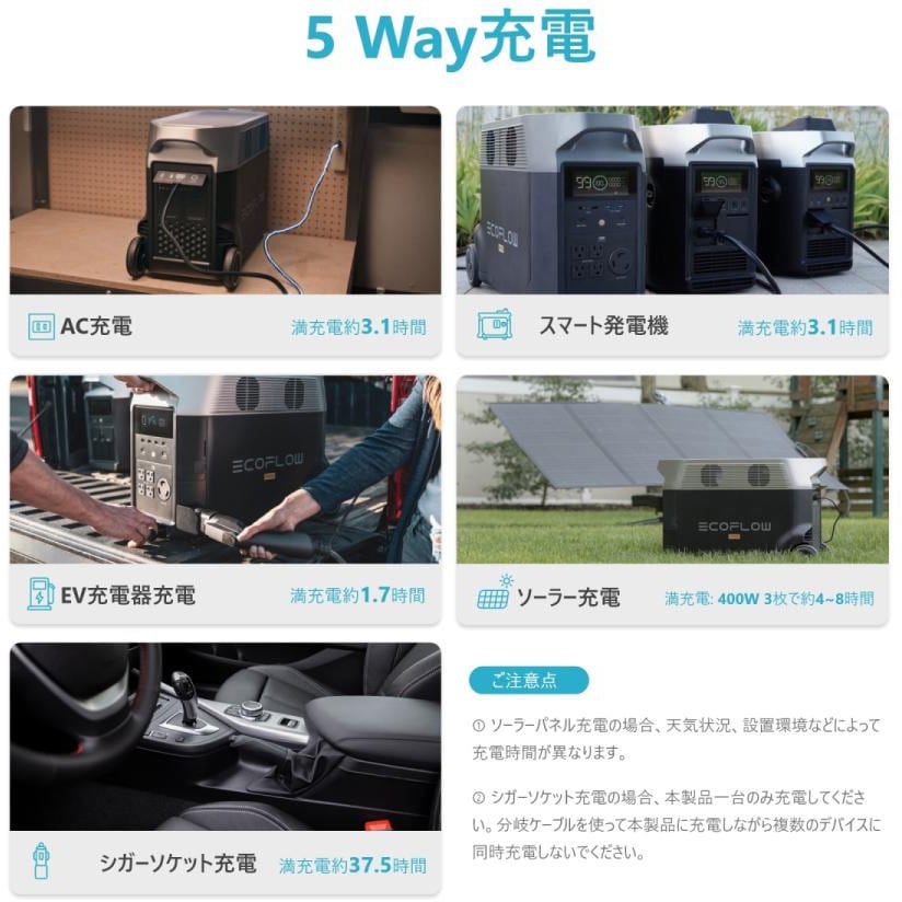 EFDELTAProUG-JP EcoFlow DELTA Pro UG 1箱 EcoFlow(エコフロー