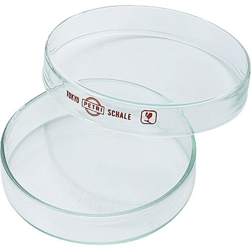 ふた付きの高さ90MMホウケイ酸ガラスシャーレ5枚セット ふた付きの高さ90MMホウケイ酸ガラスシャーレ5枚セット :