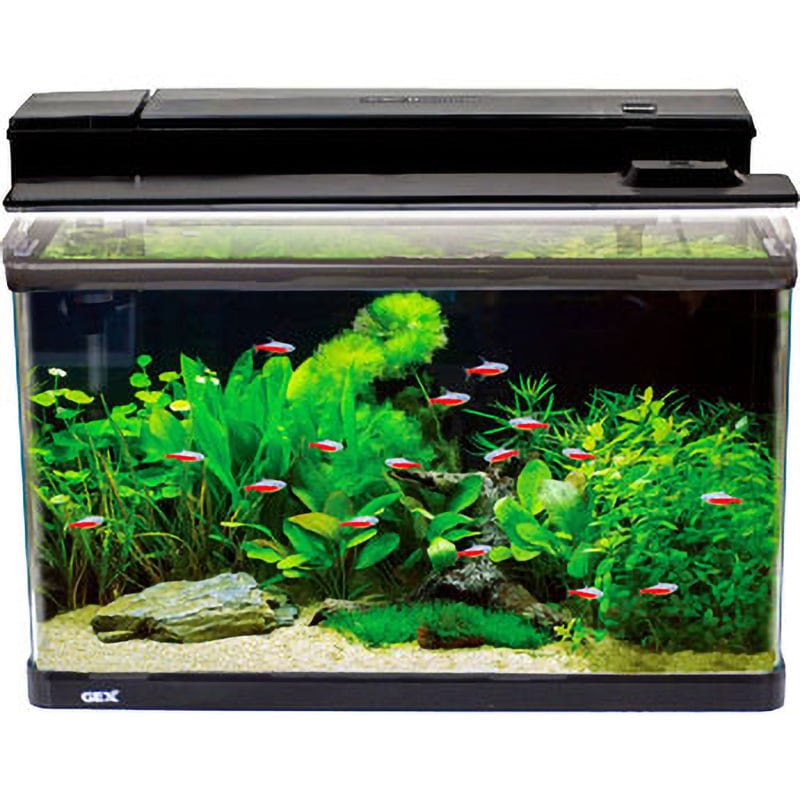 RV60 アクアリウム飼育用具セット 1セット ジェックス 【通販モノタロウ】