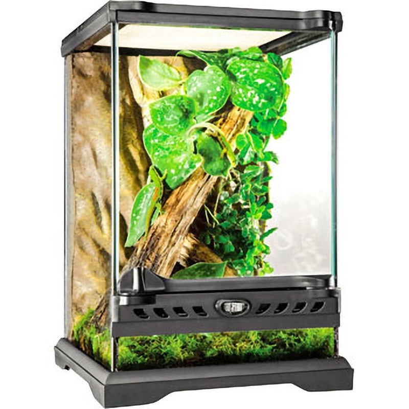 タテ型 虫飼育ケース ジェックス 寸法235×240×350mm 1個 - 【通販