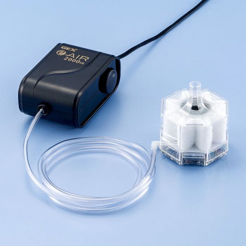 nsssu カーボンエアー 2 美品 楽天市場 | SWIMSHOPヒカリスポーツ - 【選手必見