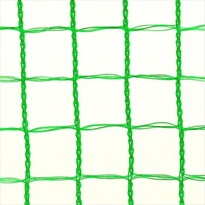 Dio 目立ちにくい透明鳥よけネット 2m×4m 白＿ の通販