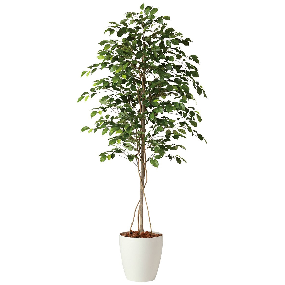 フェイクグリーン フィカスベンジャミン 人工樹木 インテリアグリーン フェイクグリーン