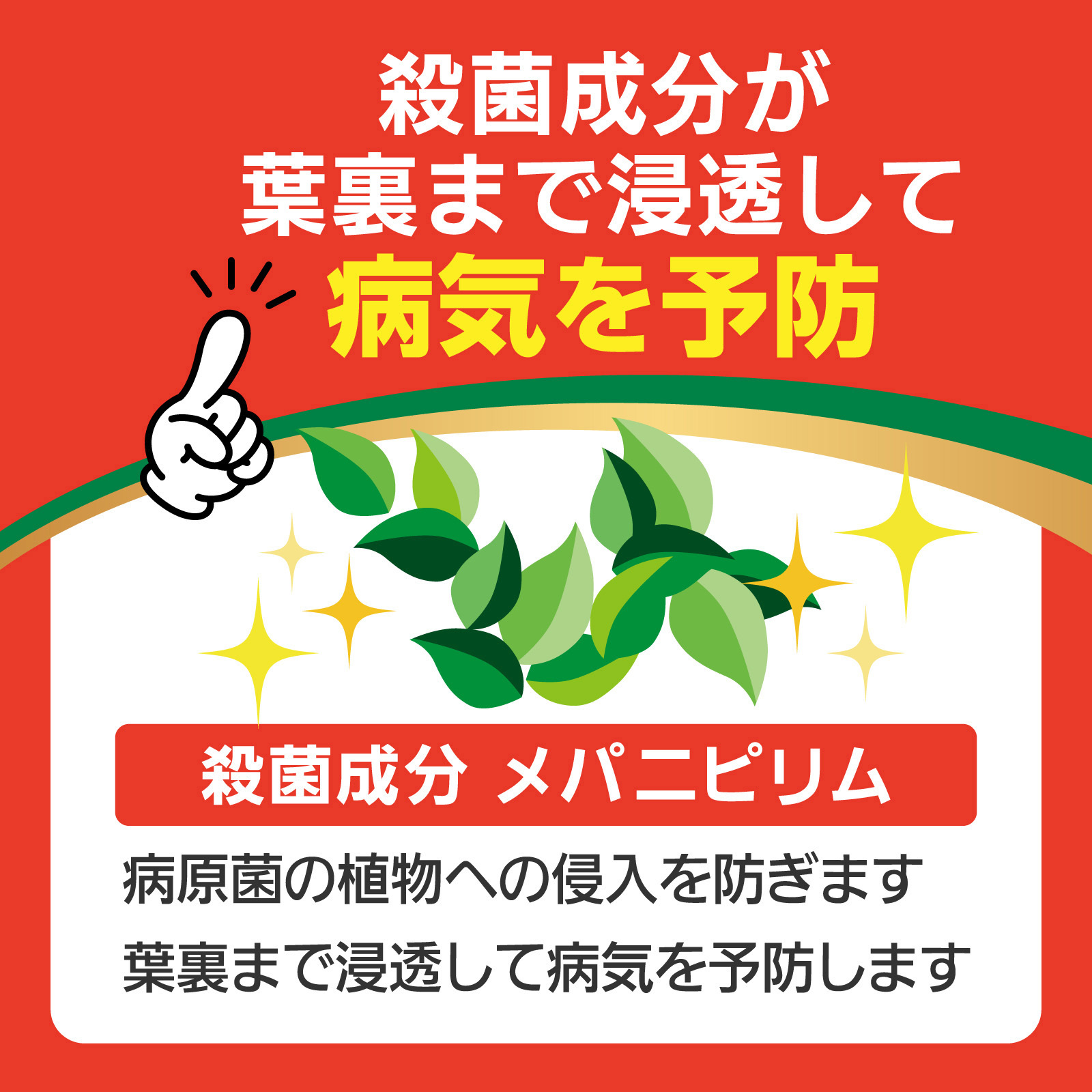 にゃんぴょう☆確認用 LION FX manual