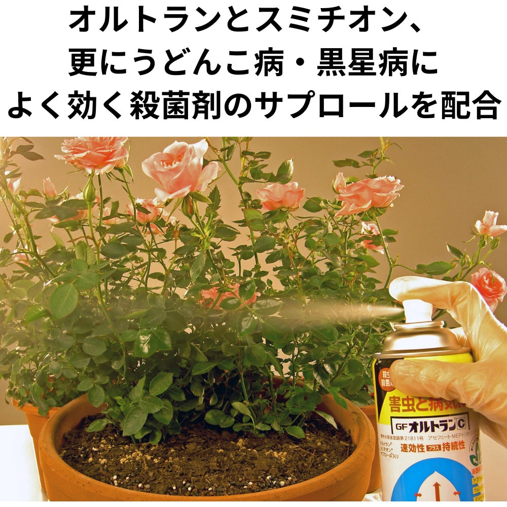 GFオルトランC 1本(420mL) KINCHO園芸 【通販モノタロウ】