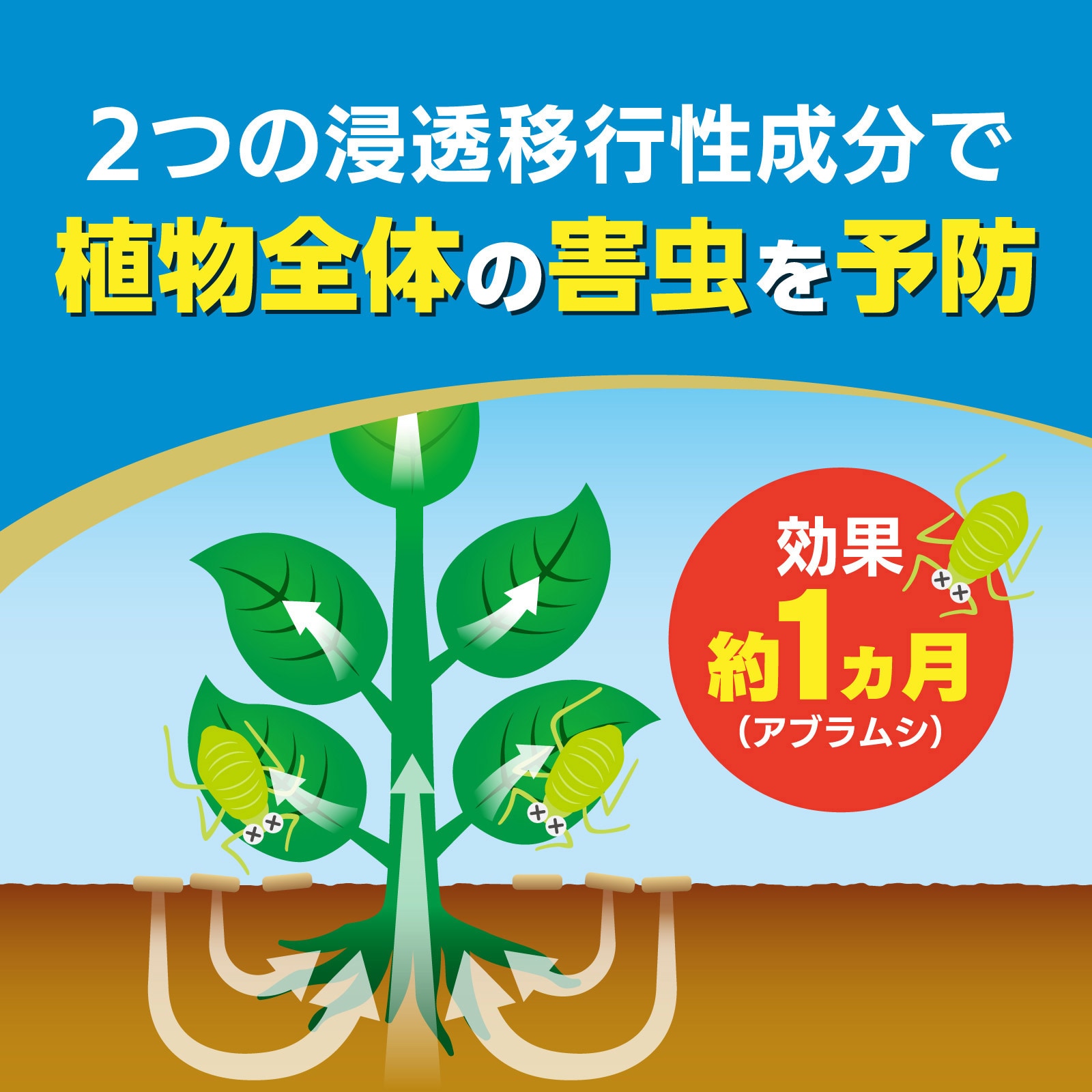 オルトランDX粒剤 1袋(1kg) 住友化学園芸 【通販モノタロウ】