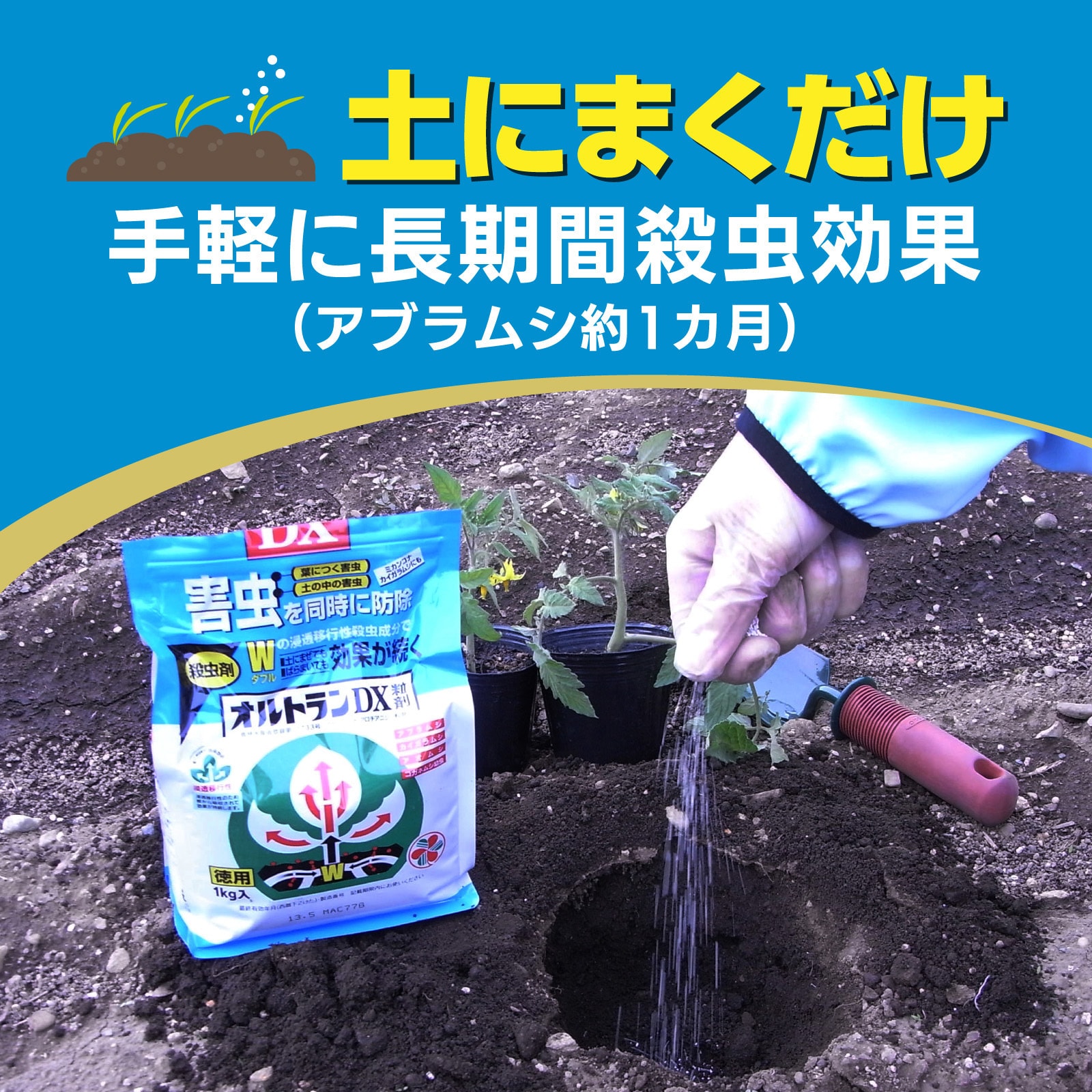 ダントツ水溶剤 住友化学 有効成分クロチアニジン16.0% - 【通販