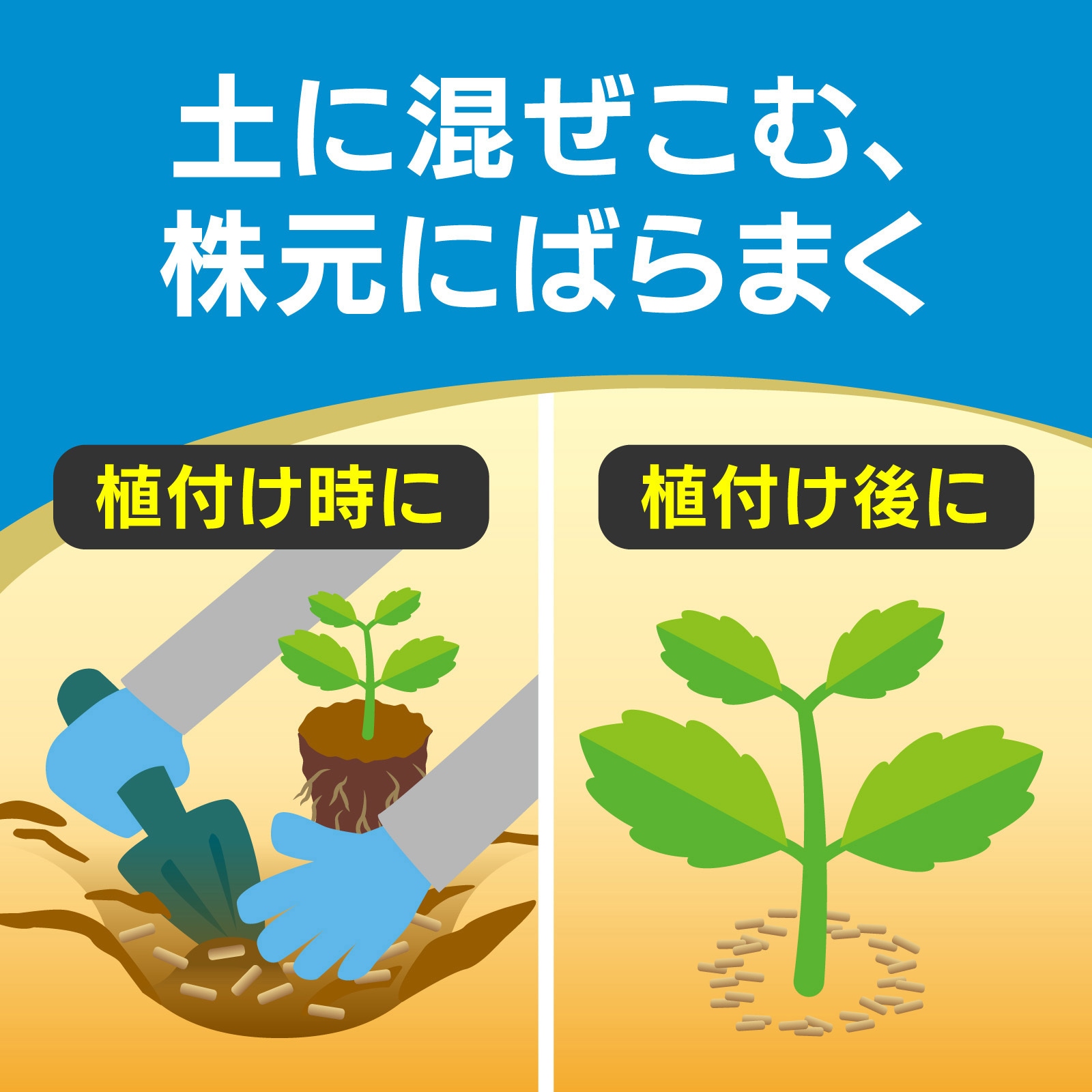 オルトランDX粒剤 1袋(1kg) 住友化学園芸 【通販モノタロウ】