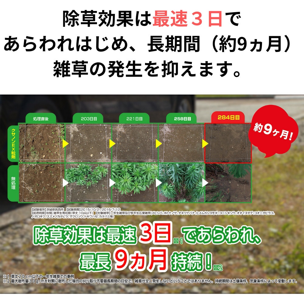 クサノンEX粒剤 1本(400g) KINCHO園芸(旧:住友化学園芸) 【通販