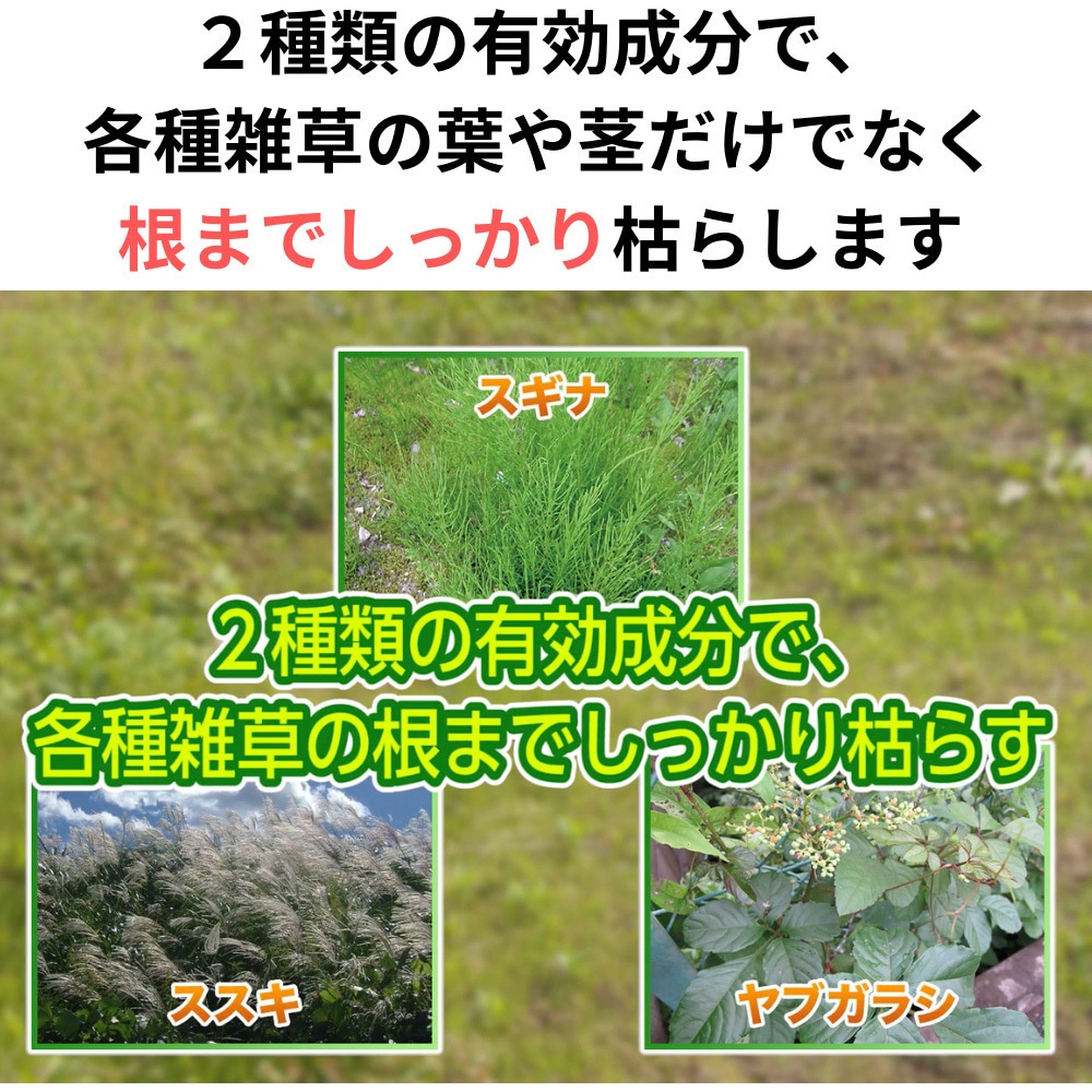 クサノンEX粒剤 1本(800g) KINCHO園芸(旧:住友化学園芸) 【通販