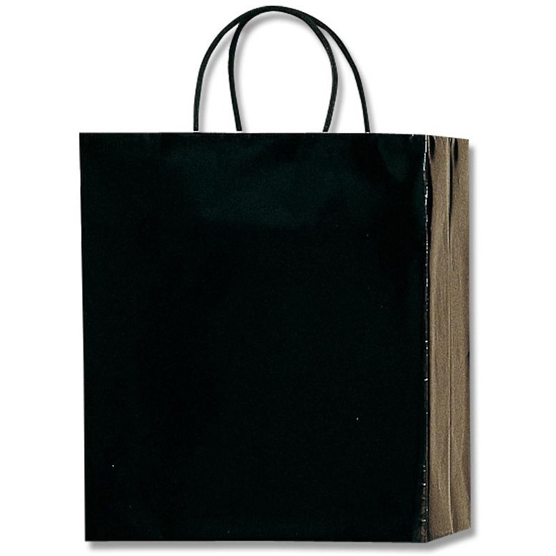 PBスムースMー1 クロ 紙袋 PBスムース 50枚 HEIKO 手提げ袋 黒色 幅220mmマチ120mm高さ265mm 1箱(10枚×5パック)