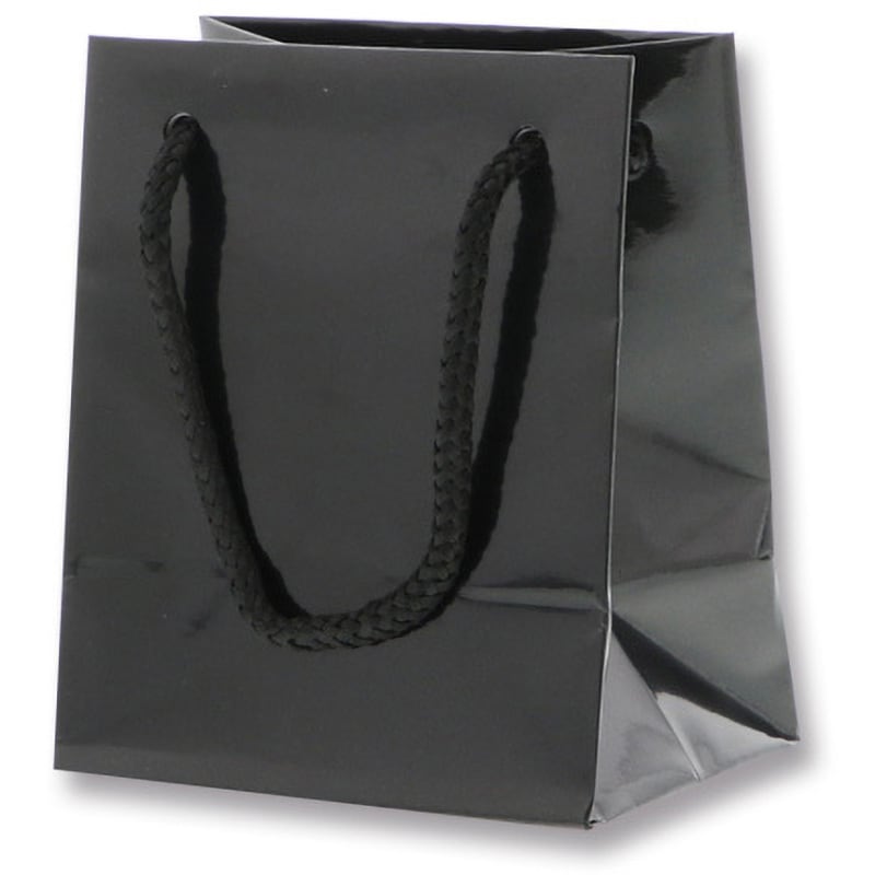 ブライトT-5 クロ 紙袋 ブライトバッグ HEIKO 手提げ袋 クロ色 幅100mmマチ70mm高さ120mm 1箱(10枚×80パック)