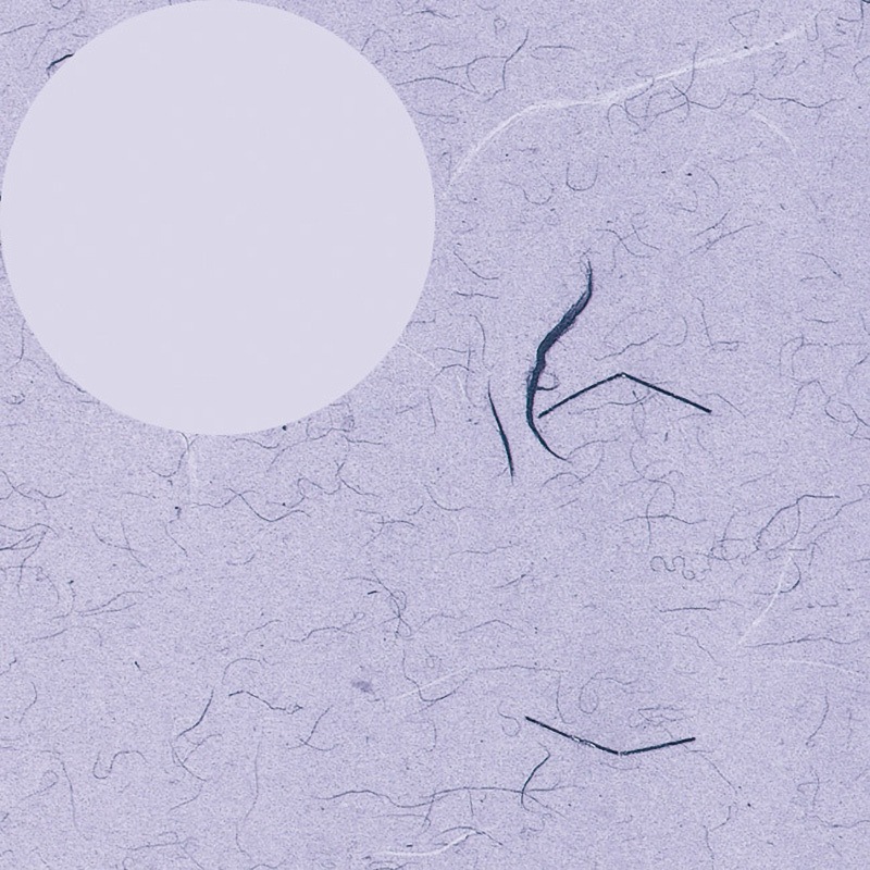 包装紙 ふうび 紫 一般包装紙 半才 1箱(100枚×10パック) HEIKO 【通販モノタロウ】