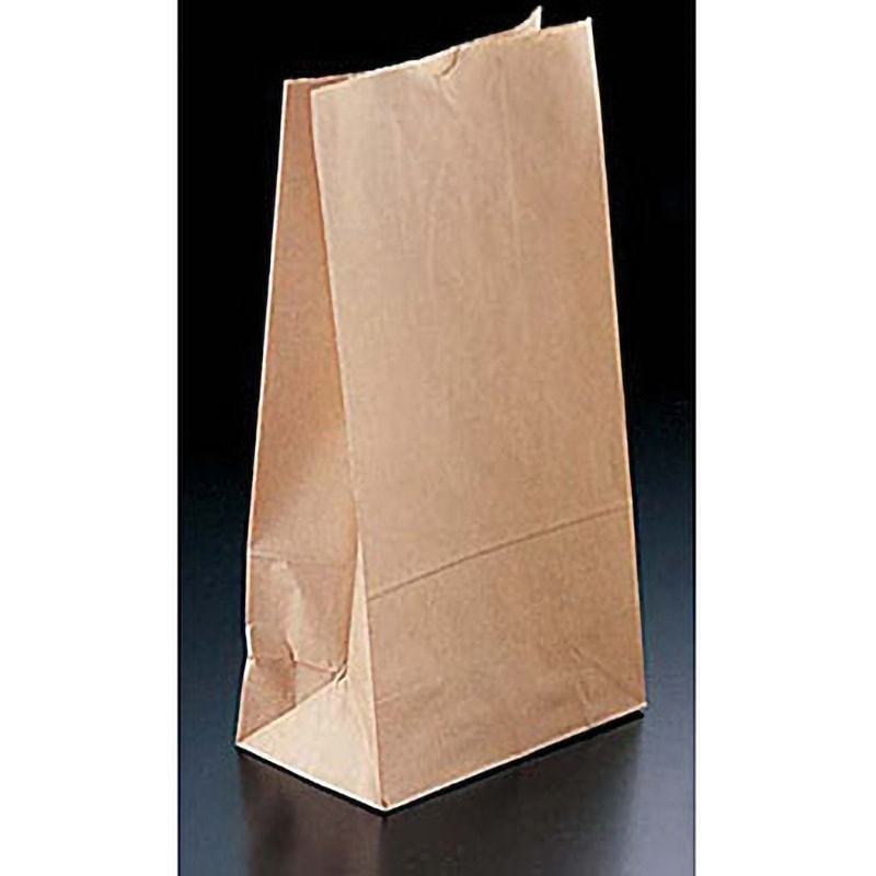角底袋 クラフト無地 日昭産業 幅170mmマチ100mm高さ335mm 1パック(500枚)