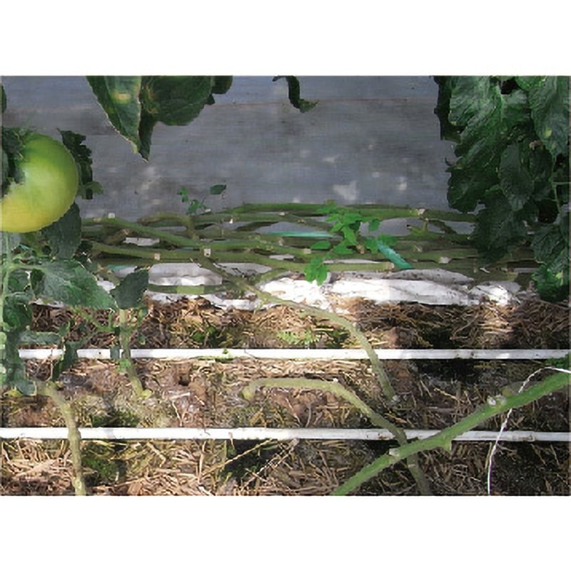 サンホープ 硬質・定量ドリッパー16mm PL-PC1630K ドリッパー サンホープ 硬質・定量ドリッパー16mm PL-PC1630K