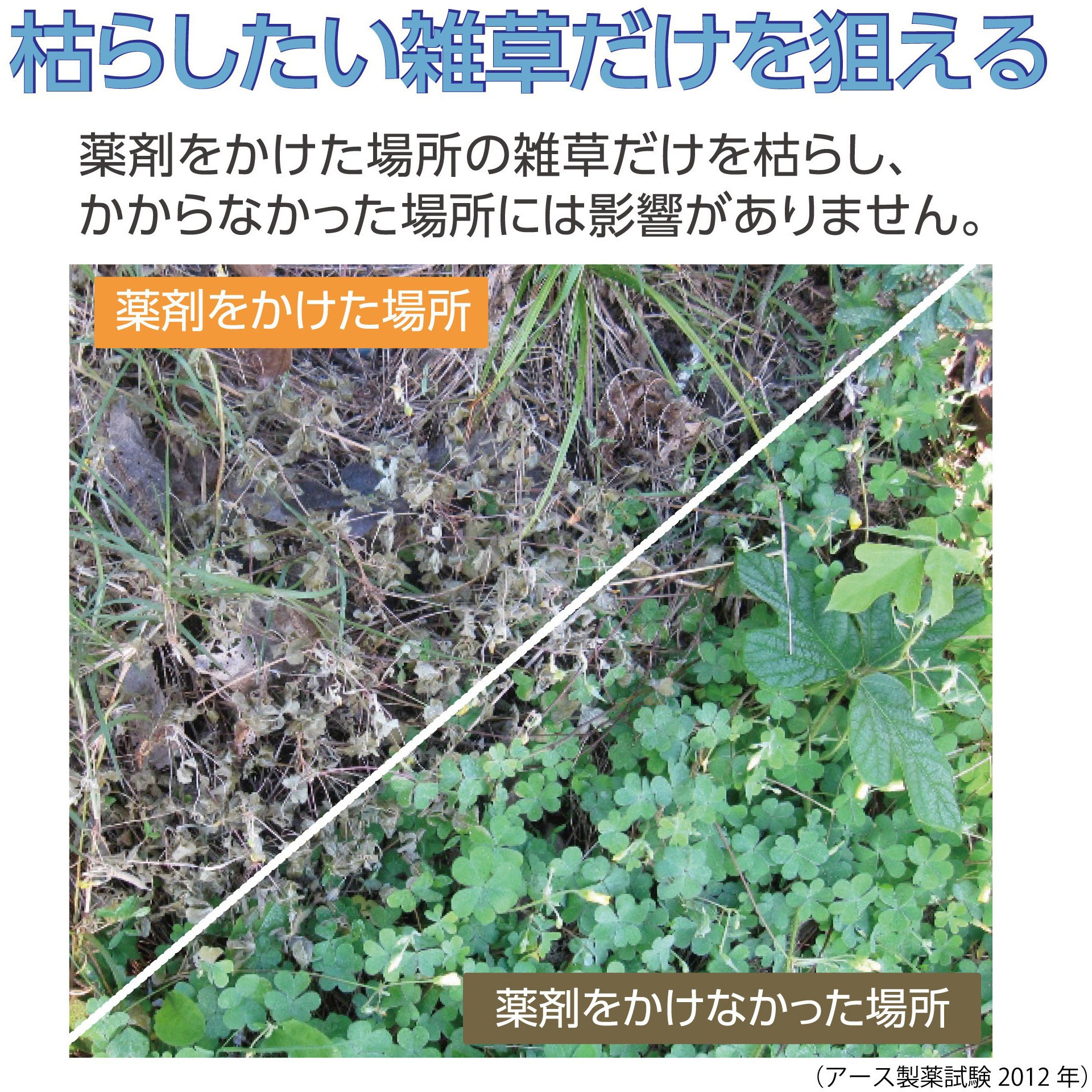 スプレータイプ アースガーデン おうちの草コロリ 1本(1L) アース製薬