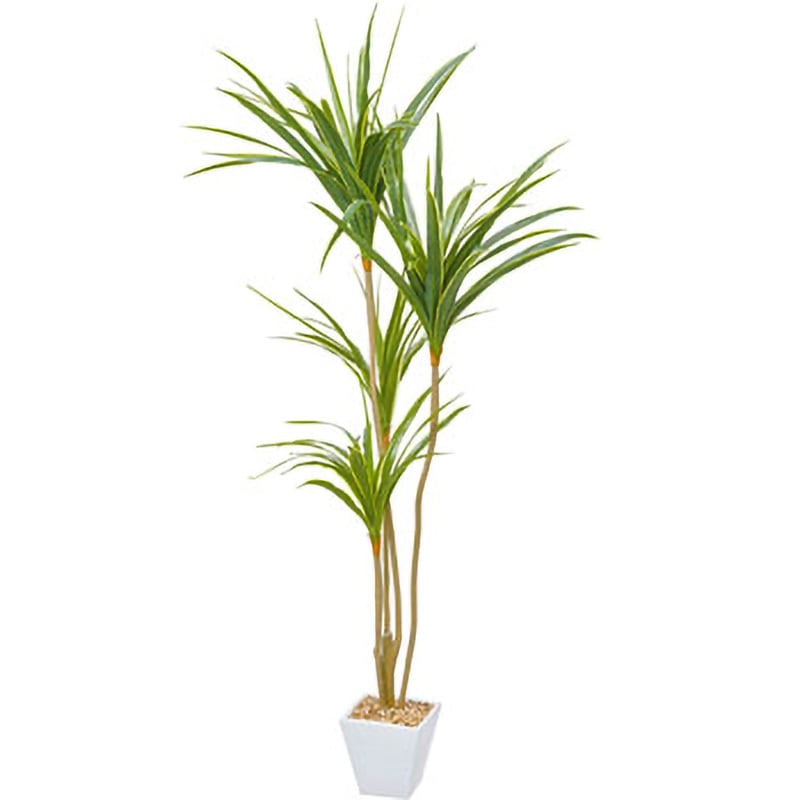 GLA-1389 ユッカポット 1個 横浜ディスプレイミュージアム 【通販モノタロウ】