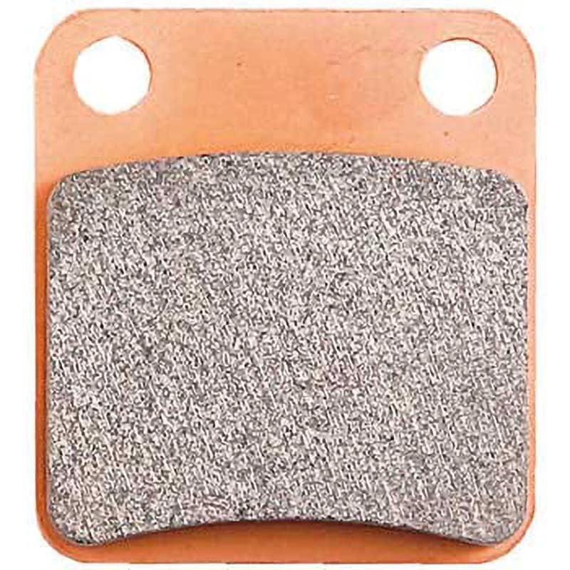 2輪 デイトナ ゴールデンパッドχ（カイ） フロント 品番：97114 JAN