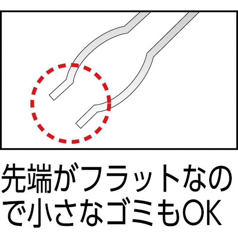 邦楽 忌野清志郎☆QTU☆出発の時間☆夜の空