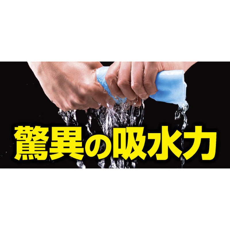 L301-B プラスセーヌ 吸水クロス ラージサイズ アイオン 寸法690×430mm