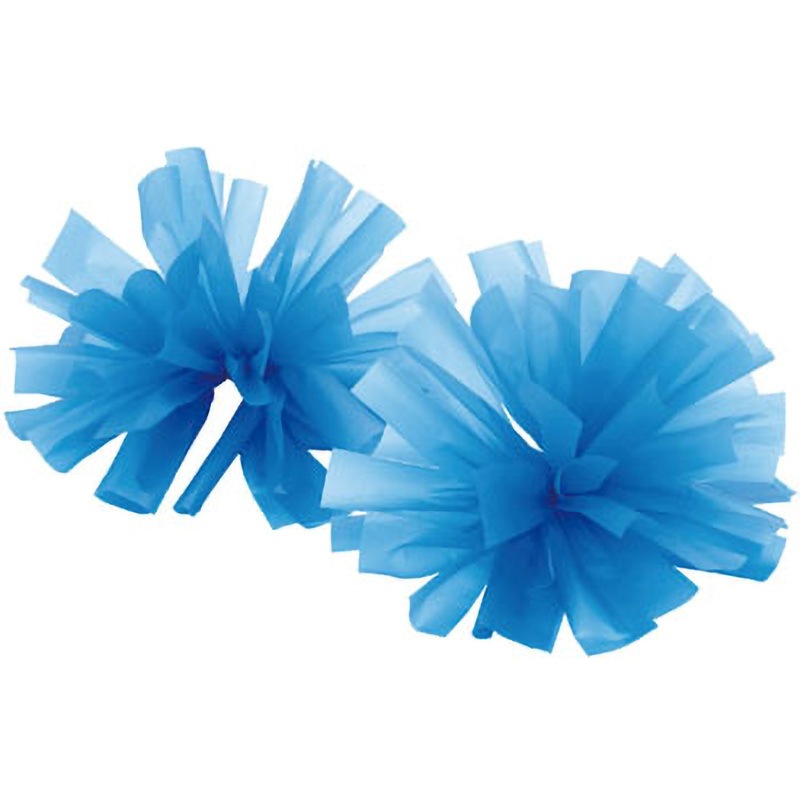 チアクラブユニフォームセット練習用ポンポン付＋used本番用水色と練習用ポンポン チアクラブユニフォームセット練習用ポンポン付＋used本番用水色