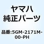 5GM-2171M-00-PH モール サイドカバー 2 5GM-2171M-00-PH YAMAHA(ヤマハ)