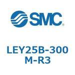 L Series(LEY25B-300M) SMC