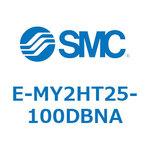 E Series(E-MY2HT25) SMC